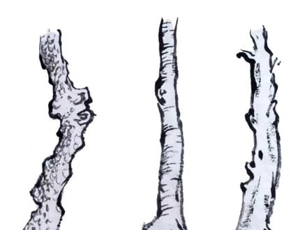 国画零基础教程-多种树干的画法#国画#国画教程#国画教程#国 #国画#国画教程 #国画风景 #国画树画法 #国画学习