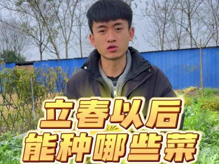 立春以后能种哪些蔬菜? #种菜 #种植小技巧 #立春 #关注我一起学种菜 #我的小菜园
