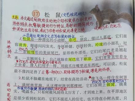 五上语文第17课《松鼠》课堂笔记
【学习目标】
1.认识“驯、矫”等生字,会写“鼠、秀”等字,会写“松鼠、乖巧”等词语。
2. 了解松鼠的特点,提炼、梳理松鼠的相关信息,并分条记录。(重点)
3.通过对比,能体会说明性文章不同的语言风格。(难点)
【作者简介】
布封(1707-1788),法国著名的博物学家。少年时期就爱好自然科学,特别是数学。毕生从事博物学研究,每天埋头著述,四十年如一日,终于写出了巨著《自然史》。
【书本69页第一题练习题答案】
分条列举有关松鼠的信息;
1.外形特点漂亮、乖巧、驯良;面容清秀,眼睛闪闪发光,身体矫健,四肢轻快;有帽缨形的尾巴,老是翘起来;会直竖着身子坐着,吃东西用前不往嘴里送。
2. 活动范围和规律:经常在高处活动;白天休息,晚上活动。
3.行为特点:警觉,动作敏捷;秋天贮藏冬天的食物。
4. 搭窝:搭在树枝分权的地方,干净、暖和、舒适、安全;搭窝很有技巧,窝口朝上,并且有个圆锥形的盖。
5.其他习性:一胎生三四个;小松鼠过了冬会换毛;用爪子和牙齿梳理毛发。
#教师备课笔记#手写笔记 #小学语文课堂笔记 #五年级语文#松鼠课堂笔记