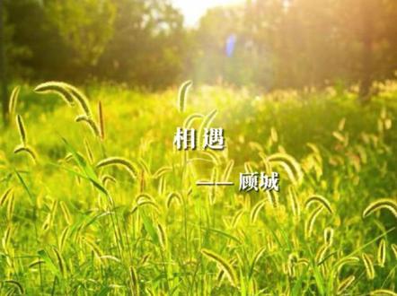 #配音 #朗诵 #现代诗 #顾城《相遇》 我们应该早些相遇……