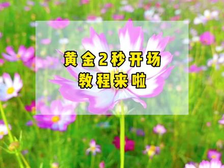 你的2秒跳出率是不是很高,试试这个黄金开场吧!#中视频合作伙伴计划 #生活vlog日常记录 #原创视频 #教你制作技巧 #提升播放量的方法 @DOU+小助手