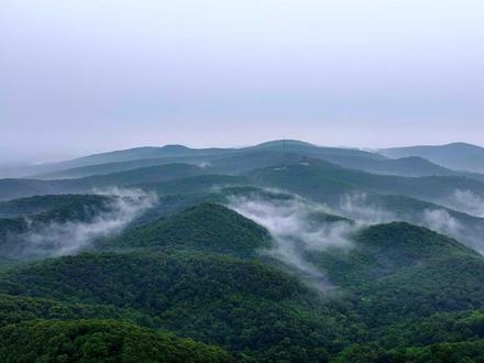 山水有文 诗画滁州 “醉翁之意不在酒,在乎山水之间也。”千年前欧阳修描绘出了滁州千年的诗画风骨,这里的每一寸山水都蕴藏着笔墨留香的诗意。来感受诗文里的滁州之美吧!@美好滁州 #诗文里的滁州 #山水如画 #美景 #滁州
