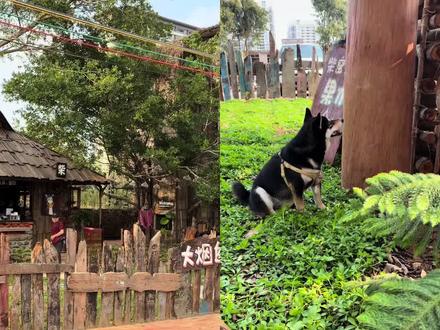 今日探店:北海新开的树屋窑炉面包店,大烟囱
#探店达人 #探店 #vlog日常 #新店开业 #原创视频