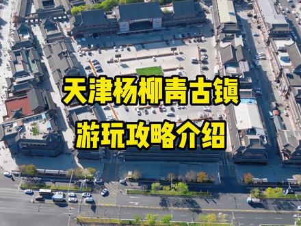 天津杨柳青古镇,一个值得一游的文化古镇。#杨柳青古镇 #杨柳青年画 #石家大院 #运河古镇 @抖音小助手 @抖音热点