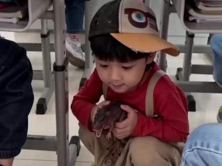 是谁又把波纹带来上课啦😁 #杨博文 #豆包AI