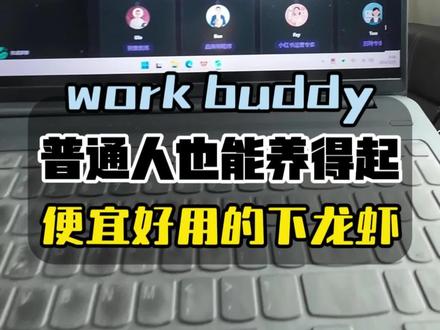 这才是普通人用得起的好龙虾#workbuddy #openclaw #龙虾机器人