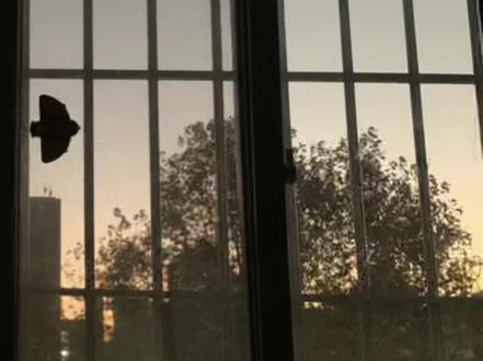 祝受灾的人们重新有个家