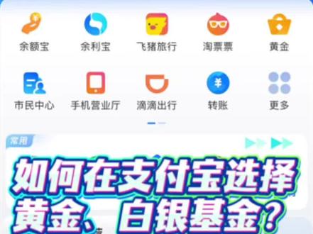 如何在支付宝选择黄金、白银基金 #黄金 #白银 #2026年最值得买的资产