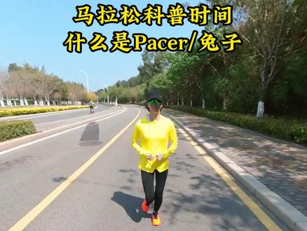 马拉松科普时间,什么是马拉松兔子,兔子身上的数字标识又指什么 #运动 #马拉松 #马拉松兔子