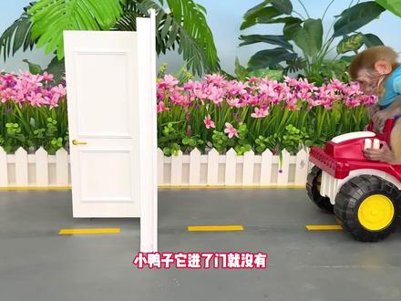 神秘贩卖机大挑战,奇趣盲盒藏惊喜,小猴子能否解锁神奇力量呢? #小猴子 #儿童 #搞笑视频 #萌宠出道计划 #动物圈