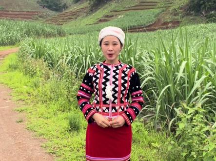 你要写基层 就不能只写基层…