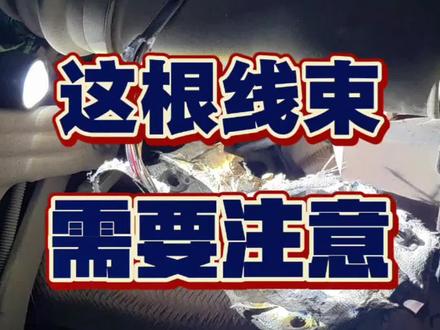 这根线束需要注意 这根线束需要注意#维修实例 #维修分享 #汽车那点事儿 #修车 #还有这种操作