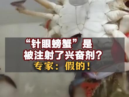 “针眼螃蟹”是被注射了兴奋剂?专家:假的!
