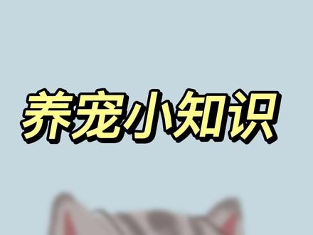 猫咪为什么甩耳朵?#萌宠 #猫 #猫咪