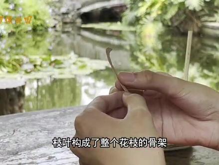 柳州市柳侯公园---非遗竹壳画教程