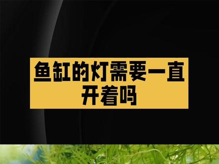 鱼缸的灯需要一直开着吗#观赏鱼 #养鱼小知识