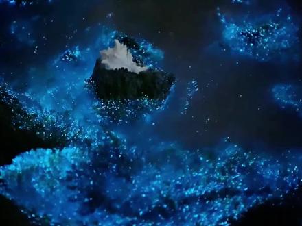 3.26|平潭蓝眼泪已经找到了!快冲!
#蓝眼泪 #旅行推荐官 #平潭旅游攻略 #一起看海 #总要去福州平潭岛看一场蓝眼泪吧