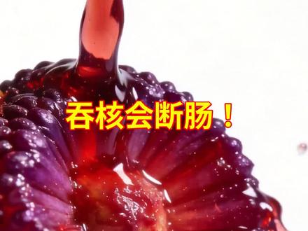 杨梅核能清肠解毒?多人吃进急诊! #杨梅 #水果科普 #杨梅禁忌 #杨梅辟谣 #健康饮食
