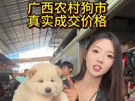 188捡漏白土松#白土松