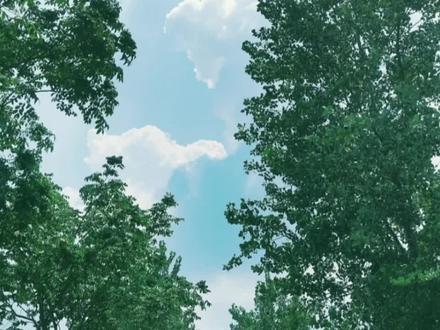 崇明西沙国家湿地公园一日游
森林氧吧溜溜娃。
西沙湿地螃蜞抓。
东滩西滩农家乐。
一日游玩笑哈哈。
#生活随拍记录美好瞬间 #vlog日常 #