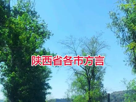 陕西省各市方言,你能听懂几个 #陕西各市方言