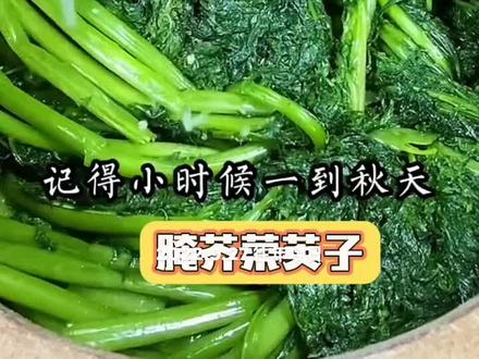 腌制芥菜英子 腌芥菜英子的正确方法