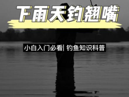 雨天如何做钓翘嘴#路亚 #路亚新手入门教程