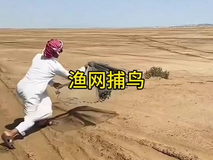 国外渔网捕鸟#野生动物零距离#内容启发搜索#鸟