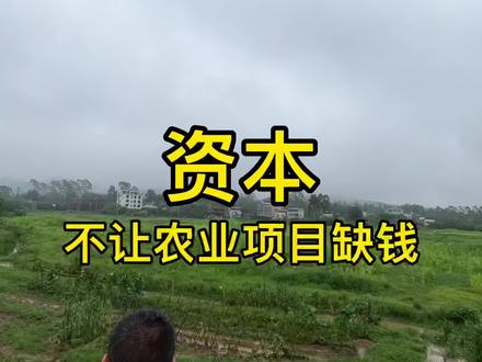 资本进军农业,不让优质农业项目缺钱,力助乡村振兴发展 #振兴乡村 #三农 #水稻种植 #农业种植致富项目 #绿水青山我的家 #农业种植 #新农人 #农场 #种植 #返乡创业
