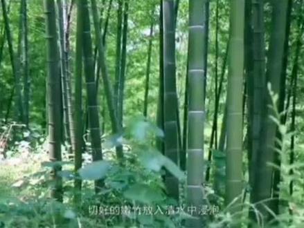 #发第二遍会火 #不要限流 #四大发明之一 #蔡伦造纸 蔡伦造纸术流程【下】@抖音小助手