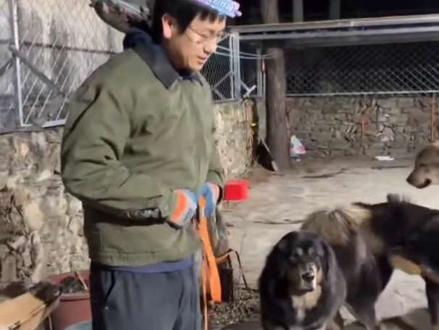 谁能抗住胖宝宝的大跳攻击#骏良 #胖宝宝