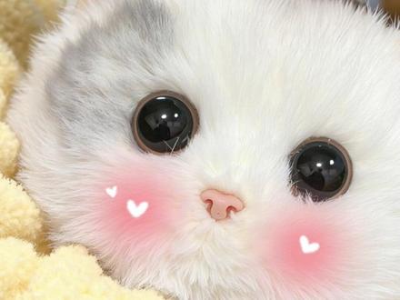 后悔没早点买 简直被萌晕了~ #walulu #明星同款 #治愈系 #猫咪 #ai玩具