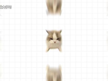 怎么区分农历阳历阴历和公历? #日历 #小猫大学习 #猫meme #过年 #知识科普