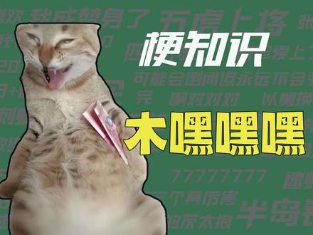 猫meme嘿嘿嘿傻笑发音 教程-抖音