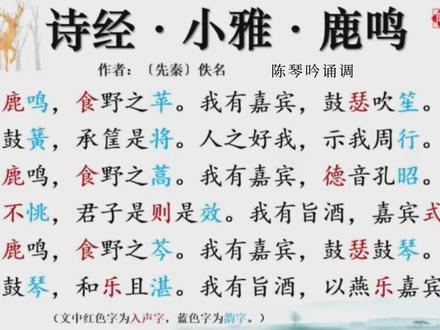 见字能歌 素读经典《诗经 小雅 鹿鸣》童声吟诵 陈琴老师吟诵调#古诗词 #陈琴素读
