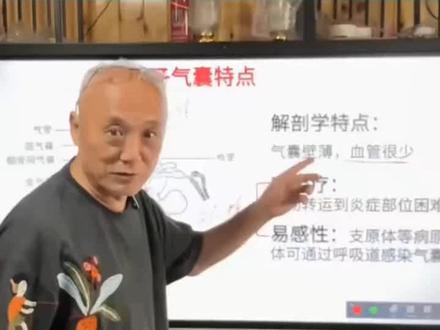 鸽子气囊炎的治疗方法。#信鸽赛鸽