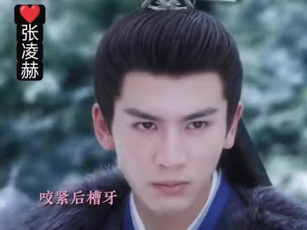 #张凌赫 谢危碎了一地 💔 #宁安如梦