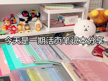 📒活页本*貌美且实用!我也太会买噜! #笔记本本子 #文具安利 #活页本推荐 #本子控 #文具控
