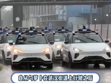 萝卜:这把高端局#萝卜快跑 #武汉 #无人驾驶 #武汉交通