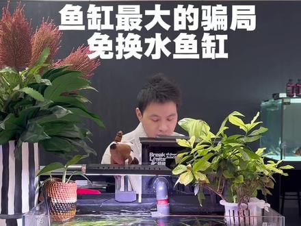 新手养鱼最爱问的问题,什么鱼缸可以不换水。 飞胤yin智能自动换水鱼缸,养鱼讲究勤换水少量换,等温换水是关键,换水能解决鱼缸99%的问题。#智能鱼缸 #免换水鱼缸 #水族#养鱼日记 #飞胤