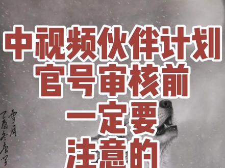 中视频伙伴计划入门,官号审核前一定要注意的俩个大坑!