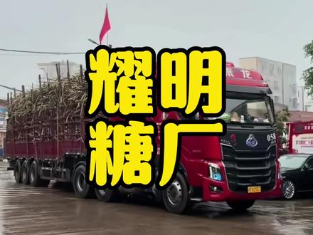 耀明糖厂定档25号停榨! #化州耀明糖厂 #糖厂 #助农