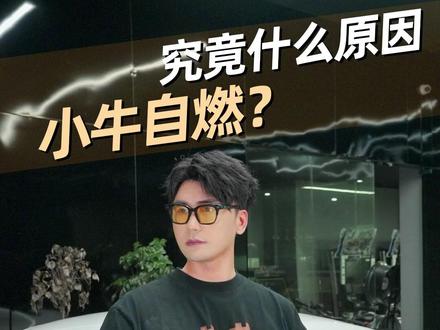 小牛自燃,真正的原因到底是什么?#兰博基尼 #盖拉多 #超跑