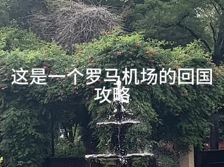 罗马机场回国攻略#回国#罗马机场攻略#留学生