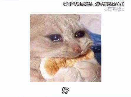 《大少爷嘴硬傲娇,分手你怎么哭了》 甜虐拉扯追妻火葬场,我承认我爱看#番茄小说 #每日看好文 #小说妹