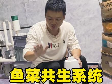 详细介绍鱼菜共生系统包含哪些,以及安装方法#鱼菜共生#家庭农场#阳台种菜#智慧农业