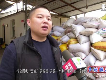 无人机喷洒低毒高效农药防治山核桃林病虫害