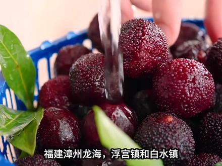 "泡药杨梅全网抵制,果农含泪砍树——但我不打算说抱歉" #泡药杨梅 #食品安全 全 #消费者权益 #漳州杨梅 #一刀切