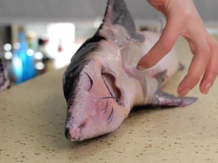 传说中皇帝才能吃的海鲜,表嫂抽龙筋取龙骨,炖汤给员工们加餐 #美食vlog #鲟鱼 #海鲜