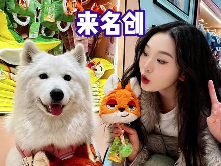谁家毛孩子已经出门遛街逛商场了?带宠物逛街真的超幸福#名创优品宠物用品 #名创疯狂动物城联名宠物用品#来名创装满宠爱 #名创宠物好好逛